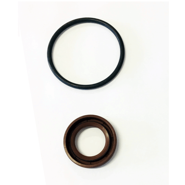 REPARO COMMON RAIL CP3 LINHA 010