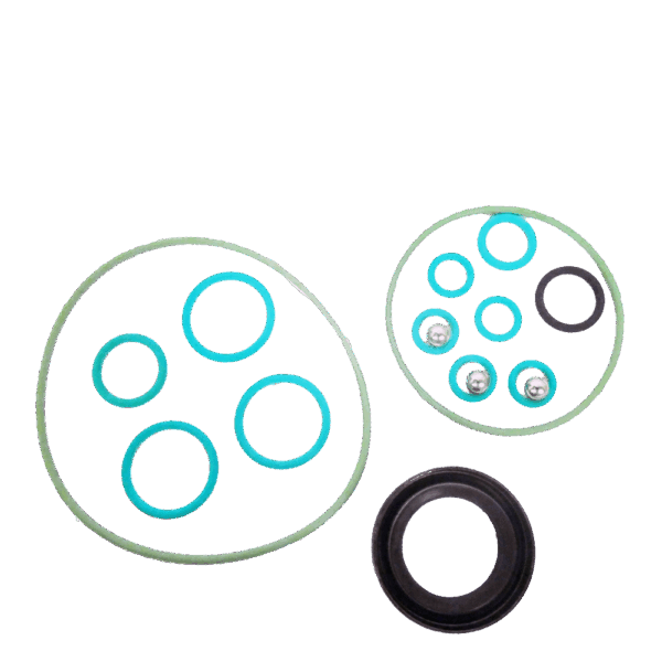 REPARO COMMON RAIL CP3 F00N201976
