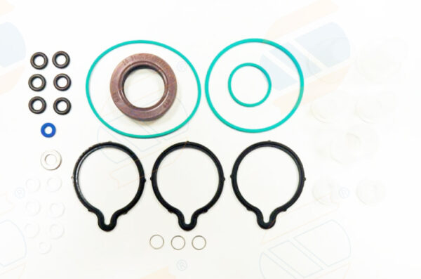 REPARO COMMON RAIL CP1