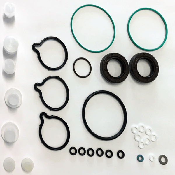 REPARO COMMON RAIL CP1