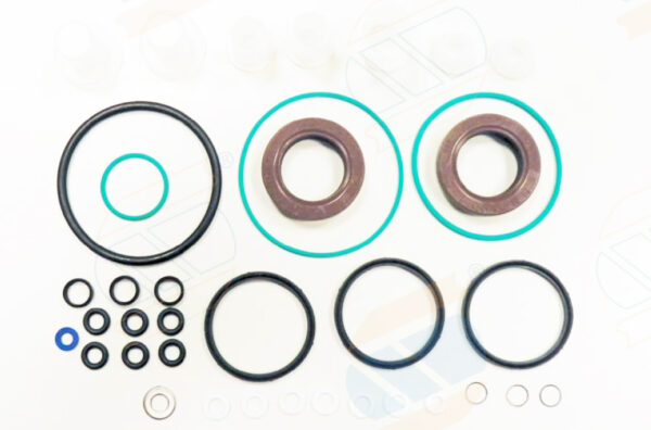 REPARO COMMON RAIL CP1