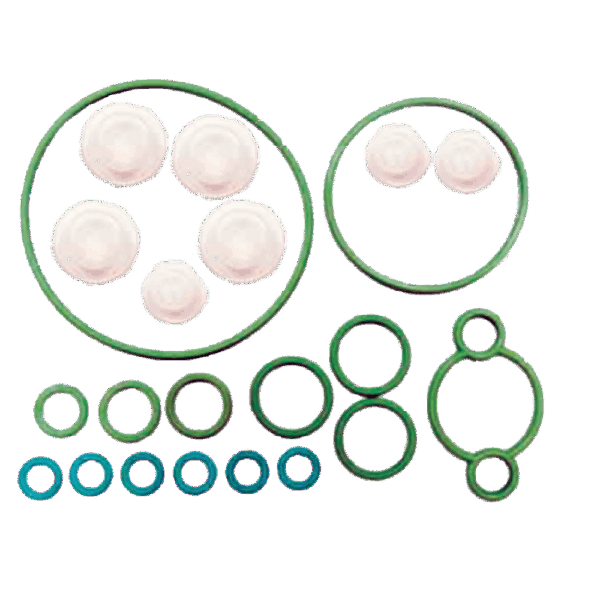 REPARO COMMON RAIL PARCIAL CP3 - F00N201973