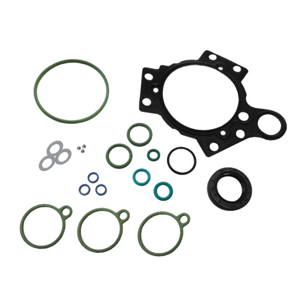 REPARO COMMON RAIL SIEMENS (1123247)