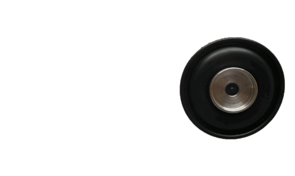 MEMBRANA LDA DELPHI EQ: 7243006