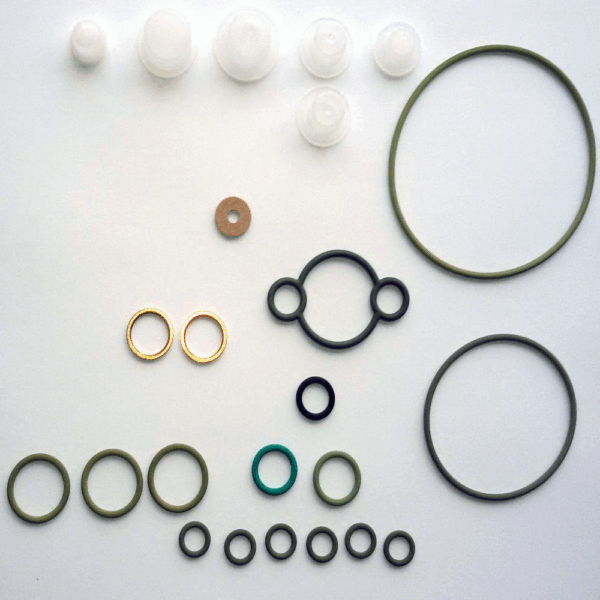 REPARO COMMON RAIL PARCIAL CP370